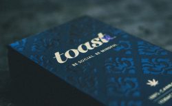 toast ceo punit seth